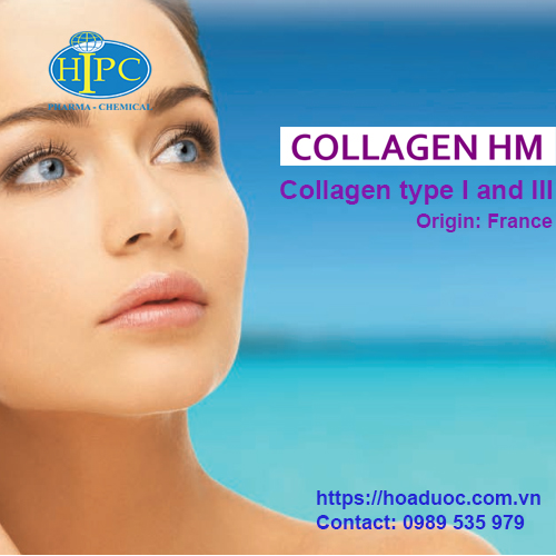 Collagen Hm